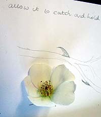 Beginners Stitching textile workshop