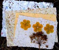 Making Paper from Nature