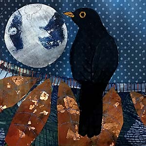 Moon Shadow Moon Love